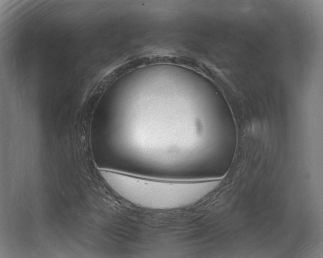 X0000062851303200601130910