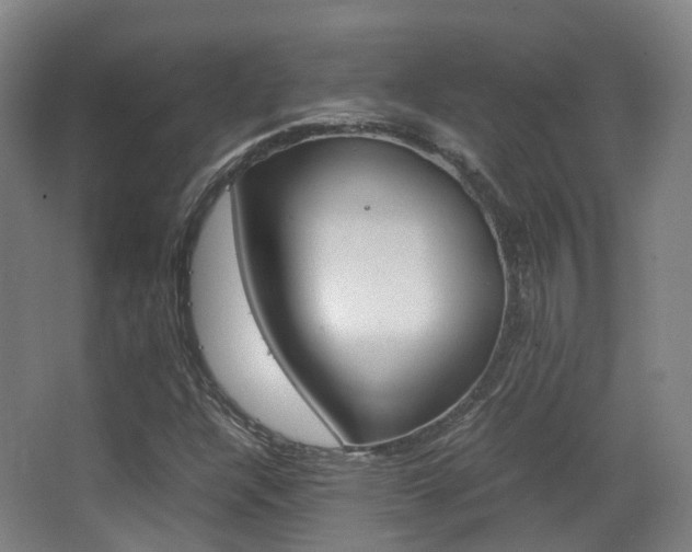 X0000062851304200601130910