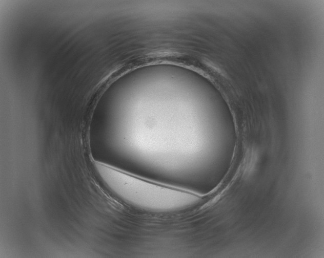 X0000062851305200601130910