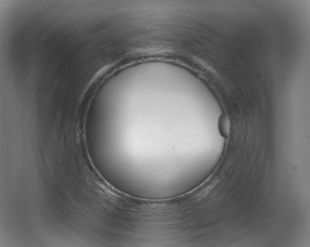 X0000062851306200601130910