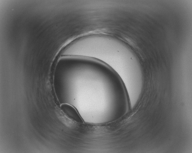 X0000062851308200601130910