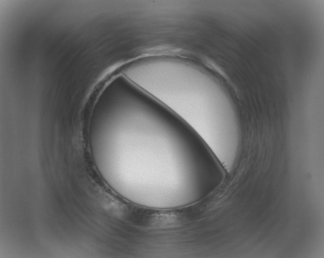 X0000062851315200601130910