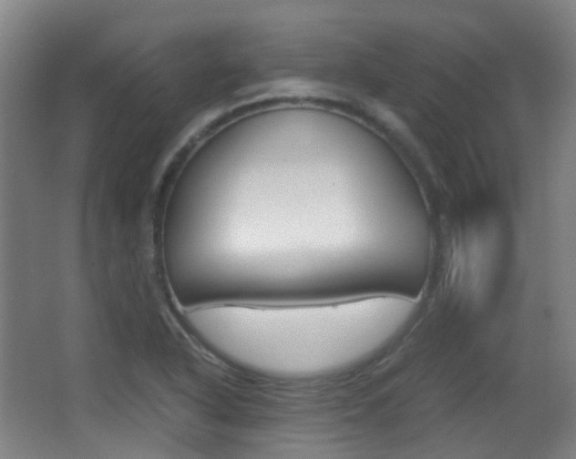 X0000062851318200601130910
