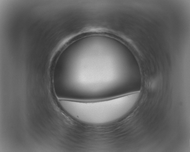 X0000062851319200601130910