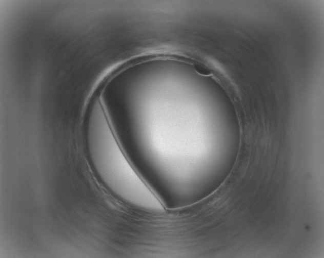 X0000062851320200601130910
