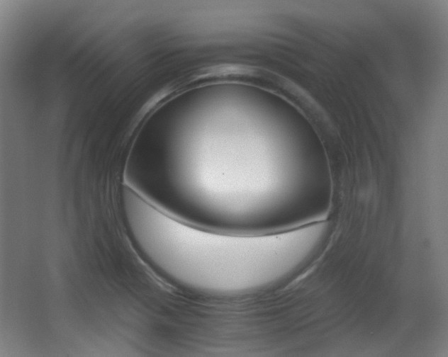 X0000062851321200601130910