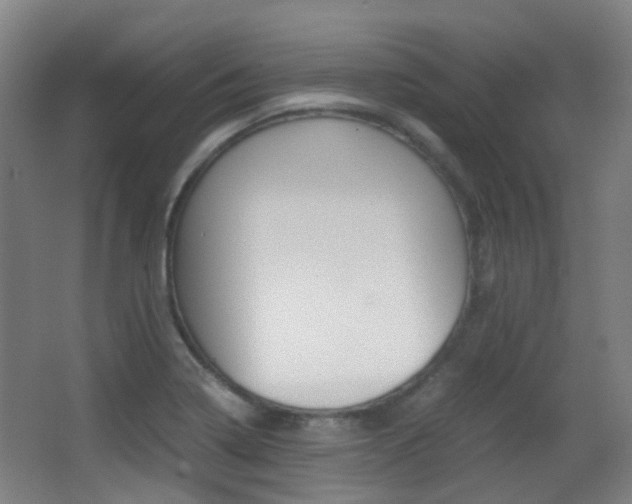 X0000062851322200601130910