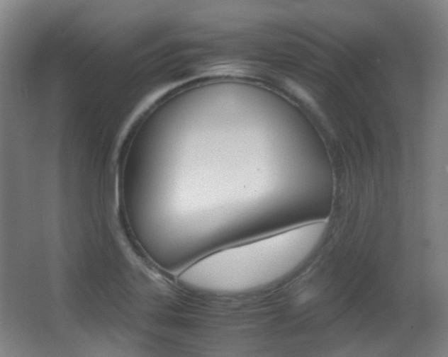 X0000062851323200601130910