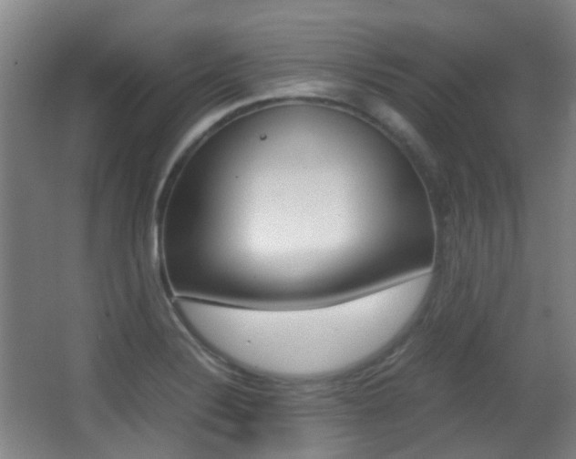 X0000062851324200601130910
