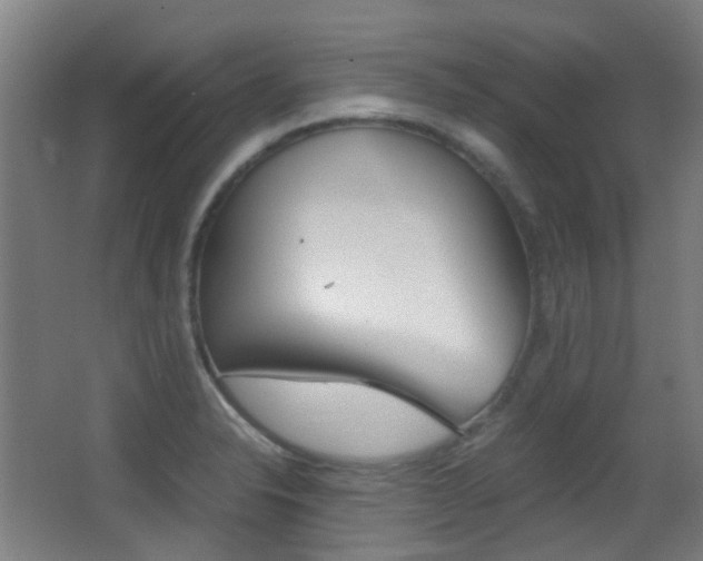 X0000062851326200601130910