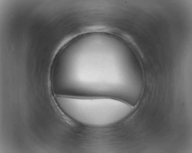 X0000062851328200601130910