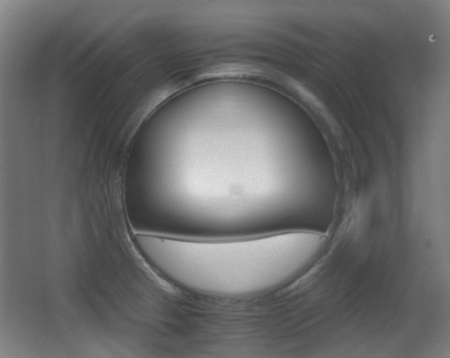 X0000062851329200601130910