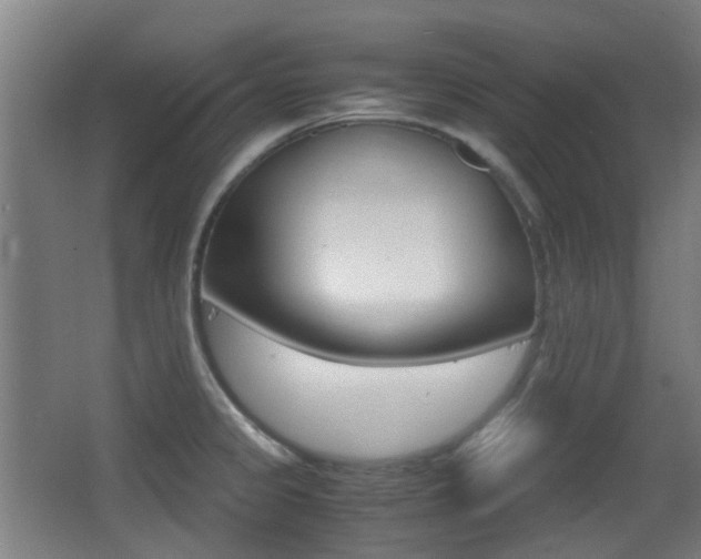 X0000062851333200601130910