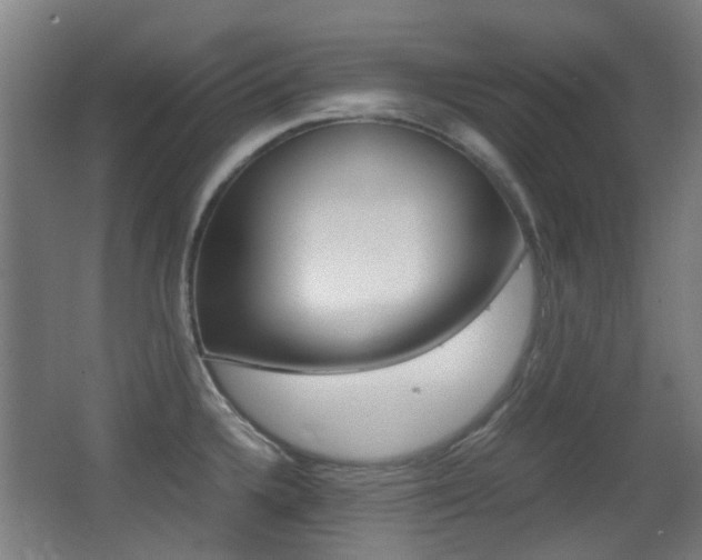 X0000062851336200601130910
