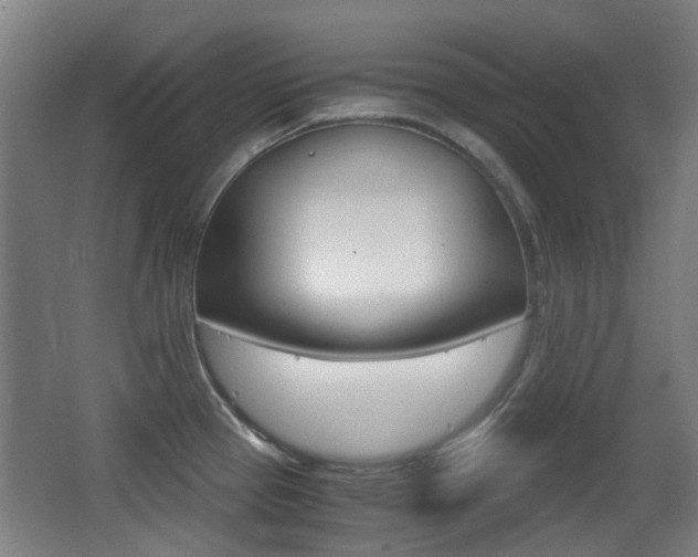 X0000062851337200601130911