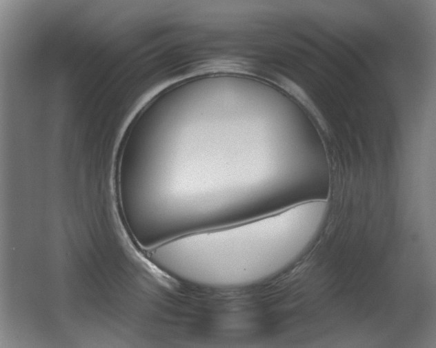 X0000062851339200601130911