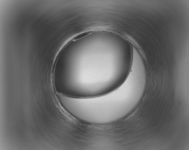 X0000062851340200601130911