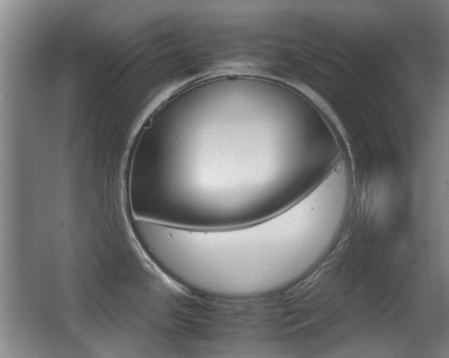 X0000062851341200601130911