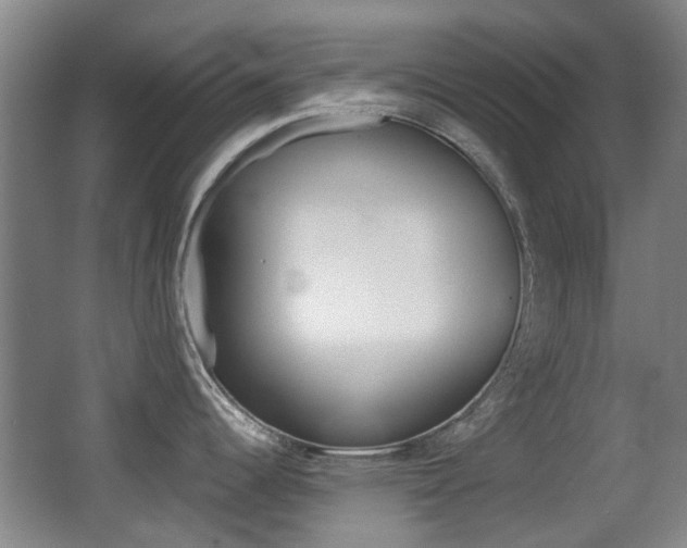 X0000062851344200601130911