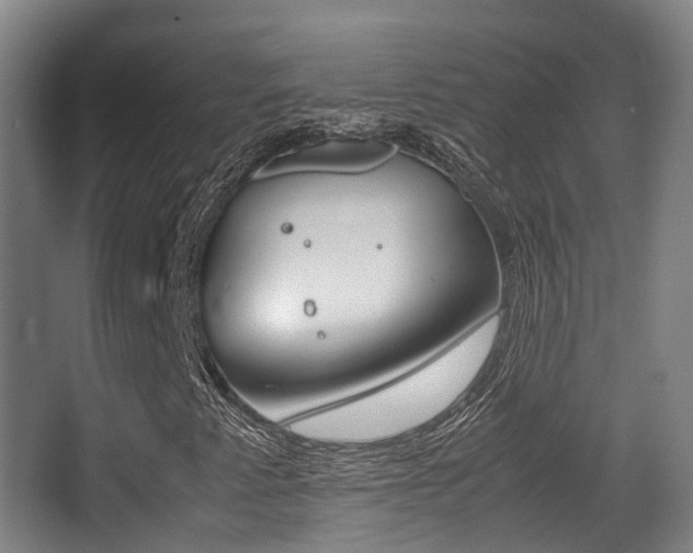 X0000062851345200601130910