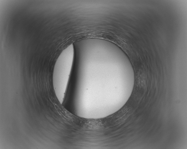 X0000062851346200601130910