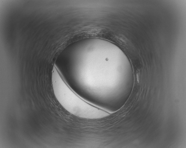 X0000062851347200601130910