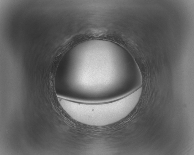 X0000062851349200601130910