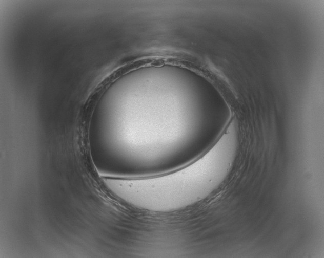 X0000062851352200601130910