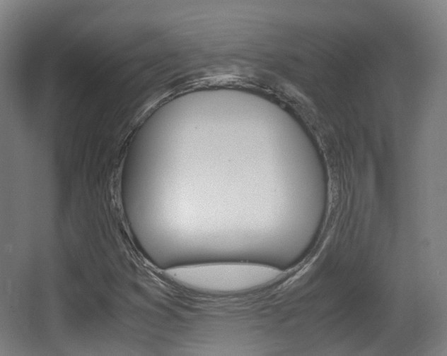 X0000062851353200601130910