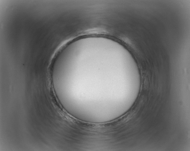 X0000062851358200601130910