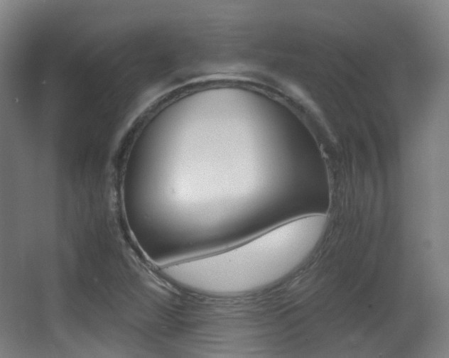 X0000062851360200601130910
