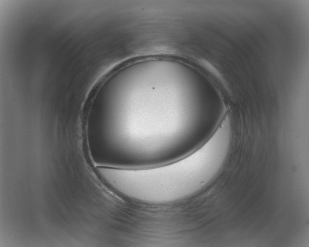X0000062851364200601130909