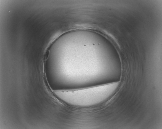 X0000062851365200601130909