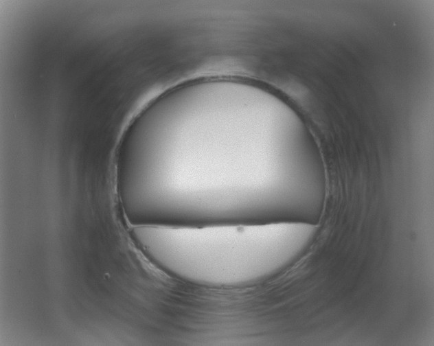 X0000062851366200601130909