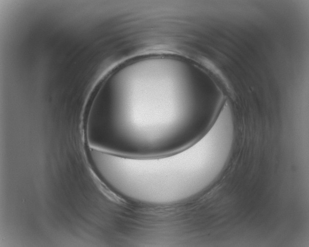 X0000062851372200601130909