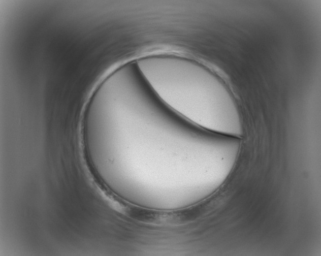 X0000062851375200601130909