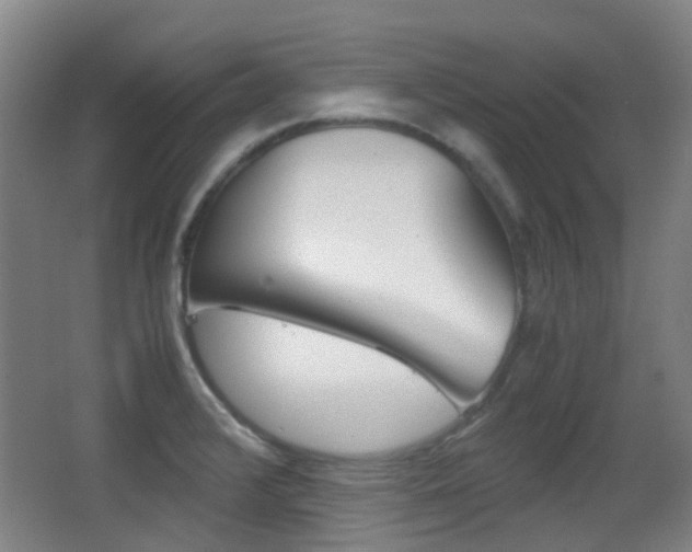 X0000062851376200601130909