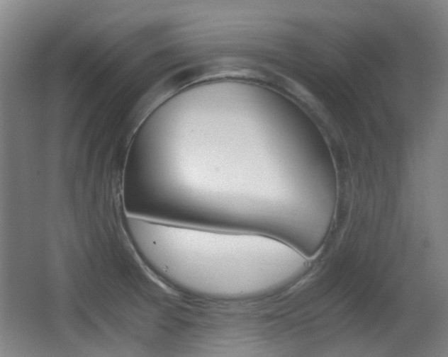X0000062851377200601130909