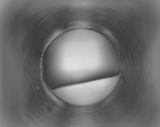X0000062851378200601130909