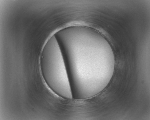 X0000062851382200601130909
