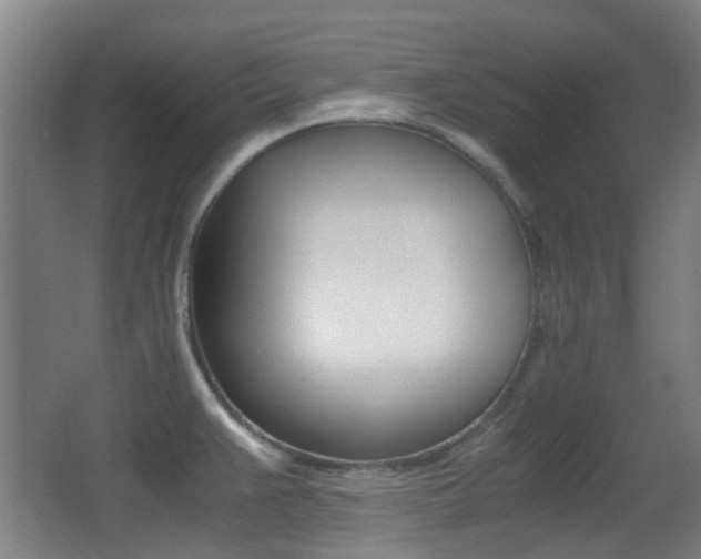 X0000062851383200601130909