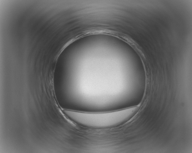 X0000062851385200601130909