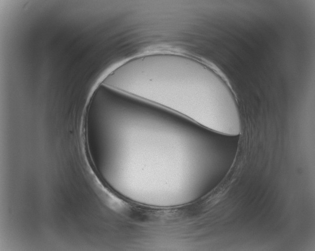X0000062851387200601130909