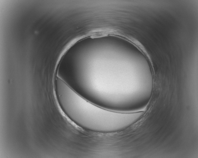 X0000062851389200601130909