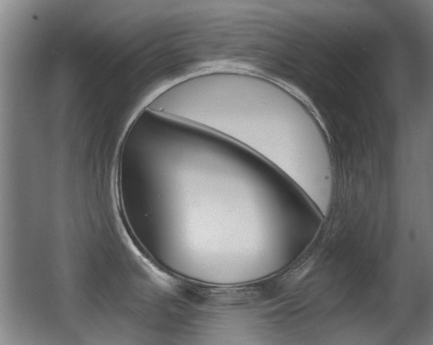 X0000062851391200601130909
