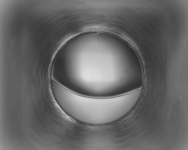 X0000062851392200601130909