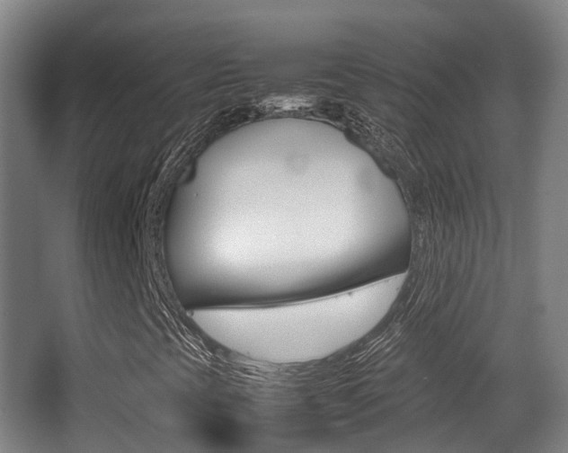 X0000062851393200601130908