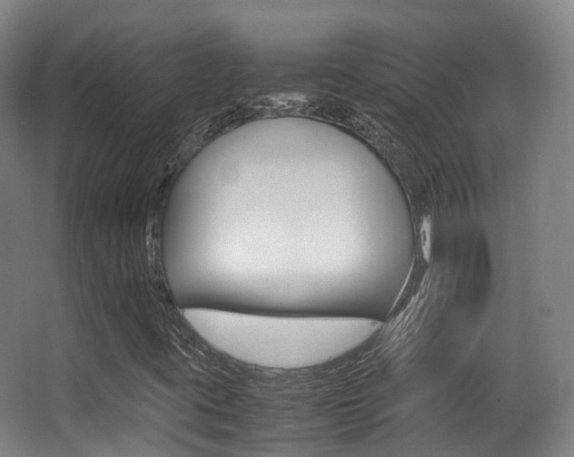 X0000062851395200601130908