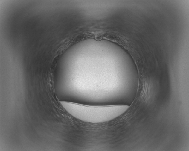 X0000062851397200601130908
