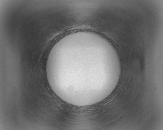 X0000062851398200601130908